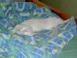 tn_gallery_4545_769_16833.jpg