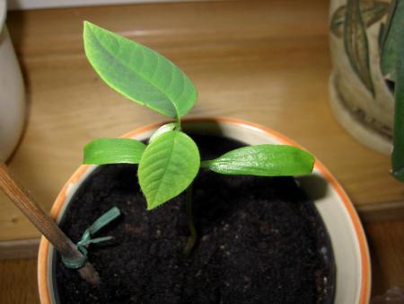 gallery_1251_260_238621.jpg