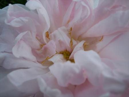 gallery_9429_777_8605.jpg