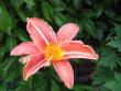 tn_gallery_6380_757_89752.jpg