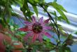 tn_gallery_8537_782_17980.jpg