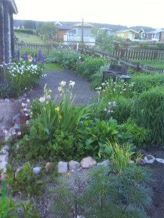 gallery_11085_684_24125.jpg