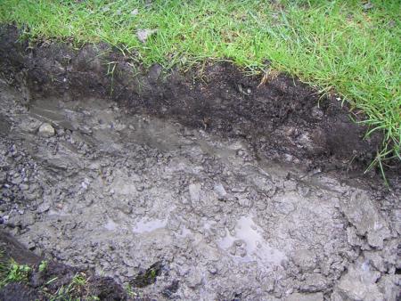 gallery_9317_791_178225.jpg