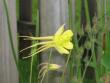 tn_gallery_11016_41_35103.jpg