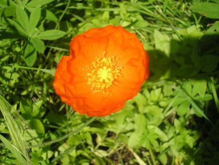 gallery_5006_797_52479.jpg