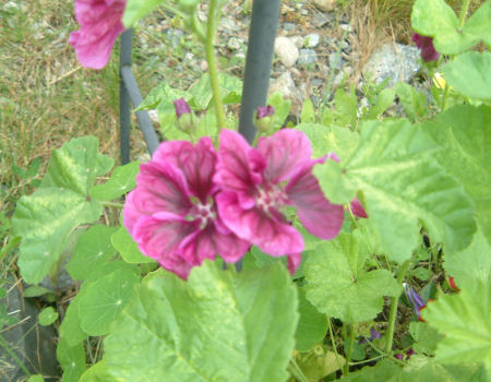 gallery_7440_639_42255.jpg