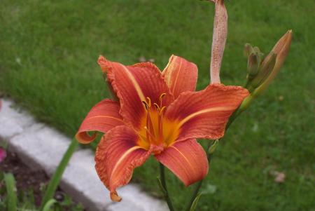 gallery_6203_31_275838.jpg