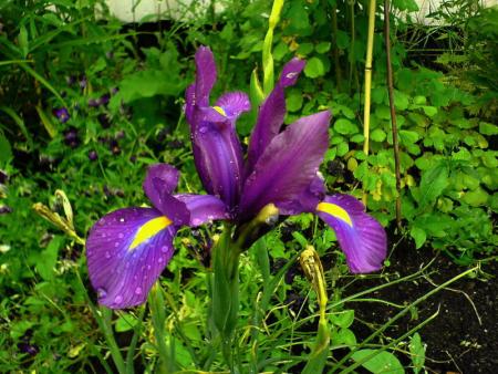 gallery_7440_639_42557.jpg