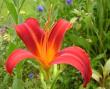 tn_gallery_1786_40_63825.jpg