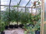 gallery_8540_234_6588.jpg