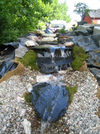 gallery_11410_801_181607.jpg