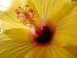 tn_gallery_4113_189_30213.jpg