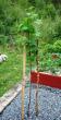 tn_gallery_5714_50_645.jpg