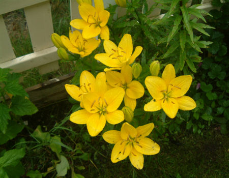 gallery_7440_639_22582.jpg
