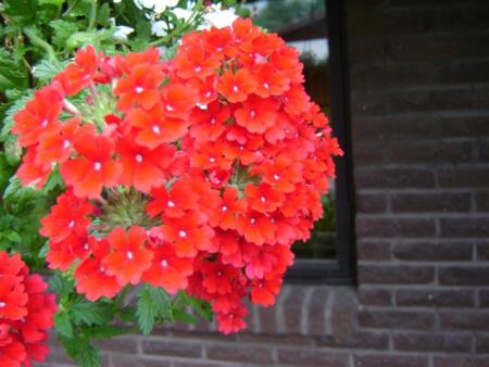 gallery_9372_804_50024.jpg