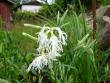 tn_gallery_9372_802_68276.jpg