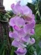 tn_gallery_9372_804_33894.jpg