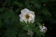 tn_gallery_5169_5_48908.jpg