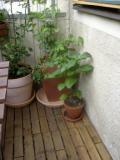gallery_9887_810_16860.jpg