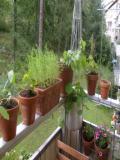 gallery_9887_810_19325.jpg