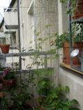 gallery_9887_810_32459.jpg