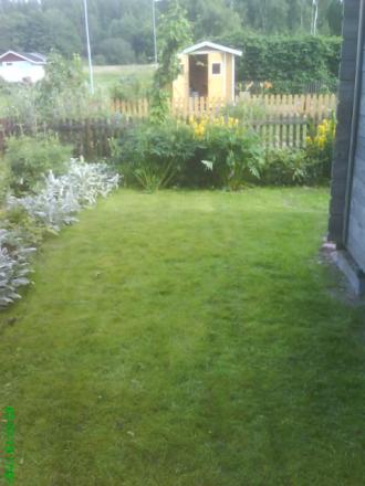 gallery_11085_684_22468.jpg