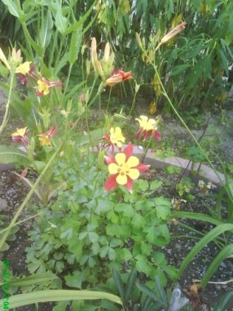 gallery_11085_684_46774.jpg