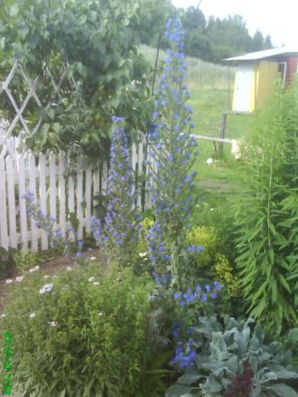 gallery_11085_684_67665.jpg
