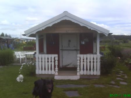 gallery_11085_816_36272.jpg