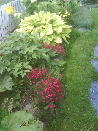 gallery_11085_816_79261.jpg