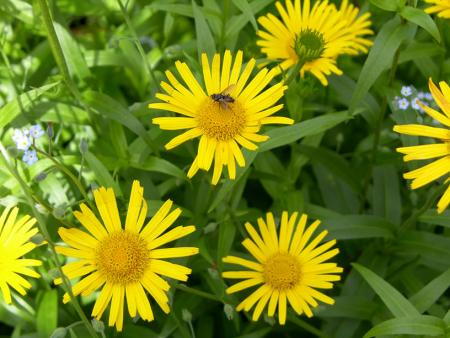 gallery_4563_727_108065.jpg