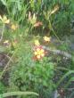 tn_gallery_11085_684_46774.jpg