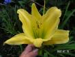 tn_gallery_1786_40_37656.jpg