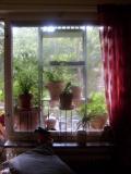 gallery_9887_813_3965.jpg