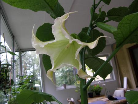 gallery_8471_277_45167.jpg