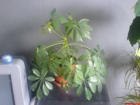 gallery_10811_635_15399.jpeg