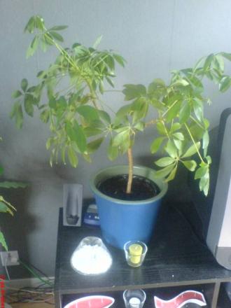 gallery_10811_635_5115.jpeg