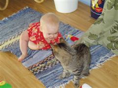 gallery_11385_830_7248.jpg