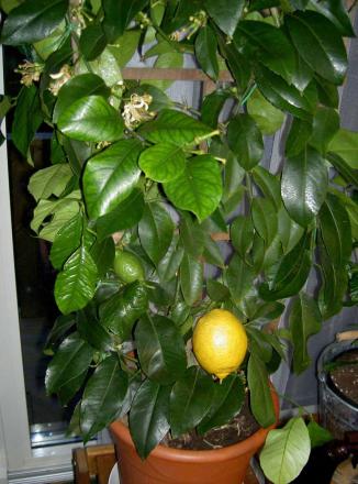 gallery_3363_829_114077.jpg