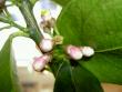 tn_gallery_3363_829_12142.jpg