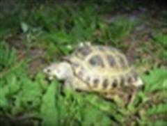gallery_11385_830_6236.jpeg
