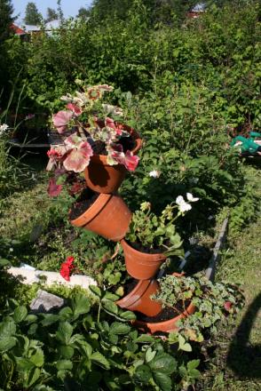 gallery_5169_702_230057.jpg