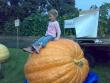tn_gallery_4721_833_12622.jpg
