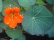 tn_gallery_9983_597_45946.jpg