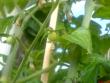 tn_gallery_10811_628_30277.jpeg