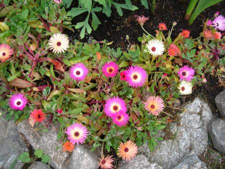 gallery_10552_845_310174.jpg