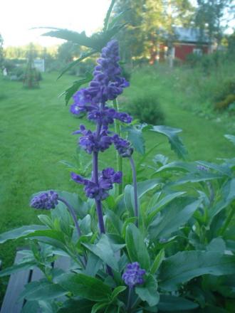 gallery_9983_597_37839.jpg