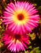 tn_gallery_10552_845_94944.jpg