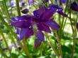 tn_gallery_3363_41_10553.jpg