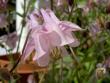 tn_gallery_3363_41_52852.jpg